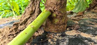 민우님의 자유주제 · 자유게시판 작성글 사진