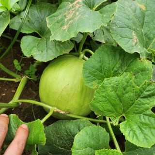 조새힘님의 자유주제 · 자유게시판 작성글 사진