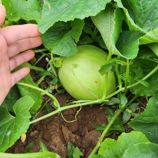 조새힘님의 자유주제 · 자유게시판 작성글 사진