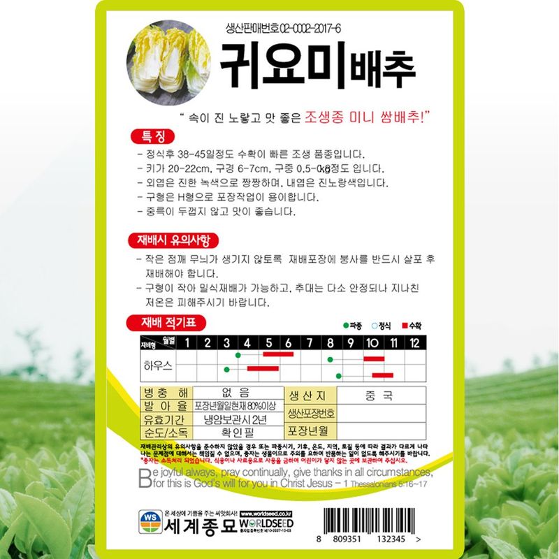 산들마켓,씨앗마켓님의 장터 판매 상품 [귀요미 배추 씨앗 300립 조생종 미니 쌈배추씨 종자 5봉 구매시+랜덤씨앗 1개 증정] 첨부 사진