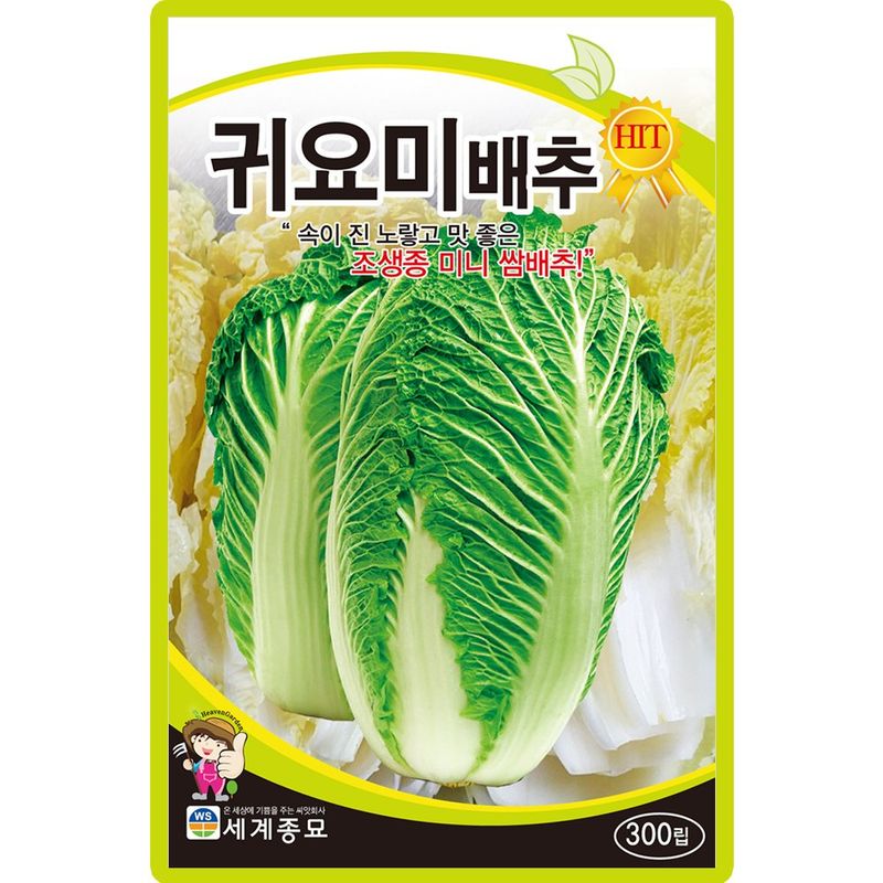 장터 상품 [귀요미 배추 씨앗 300립 조생종 미니 쌈배추씨 종자 5봉 구매시+랜덤씨앗 1개 증정] 썸네일