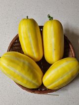 팜모닝 자유주제·자유게시판 게시글 이미지