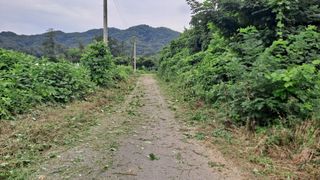 MSG0074님의 자유주제 · 자유게시판 작성글 사진