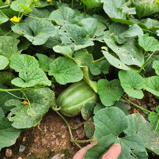 조새힘님의 자유주제 · 자유게시판 작성글 사진