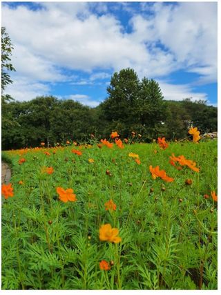 권리를위한투쟁님의 자유주제 · 자유게시판 작성글 사진