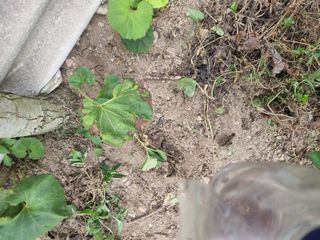 김용대님의 자유주제 · 자유게시판 작성글 사진