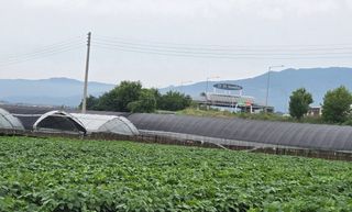 선비 농군님의 자유주제 · 자유게시판 작성글 사진