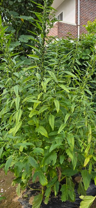 민우님의 자유주제 · 자유게시판 작성글 사진