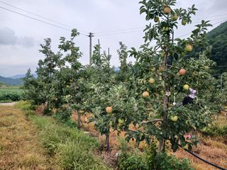 알 수 없음님의 자유주제 · 자유게시판 작성글 사진