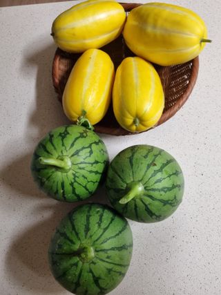 연산나무농장님의 자유주제 · 자유게시판 작성글 사진