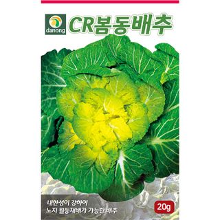 주주씨앗님의 작성글 사진