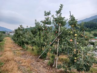 알 수 없음님의 자유주제 · 자유게시판 작성글 사진