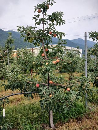 알 수 없음님의 자유주제 · 자유게시판 작성글 사진