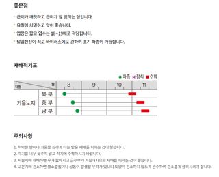 주주씨앗님의 작성글 사진