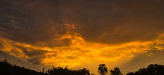 달맛햇복숭아농원님의 자유주제 · 사진전 작성글 사진