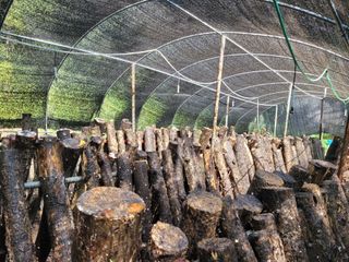 윤기성님의 자유주제 · 자유게시판 작성글 사진