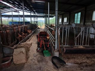 알 수 없음님의 자유주제 · 자유게시판 작성글 사진