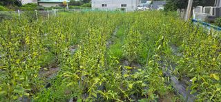 민우님의 자유주제 · 자유게시판 작성글 사진