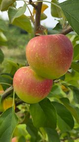 팜모닝 · 게시글 이미지