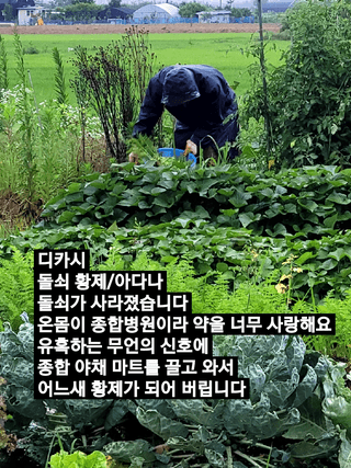 행복농장아다나님의 자유주제 · 자유게시판 작성글 사진