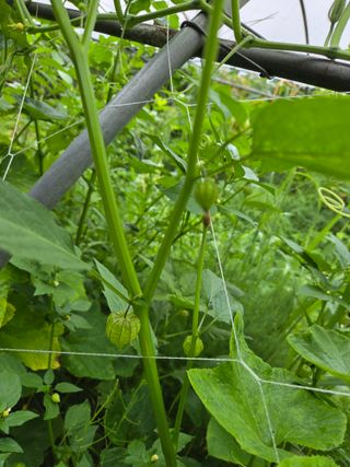 태일농산이정수님의 자유주제 · 자유게시판 작성글 사진