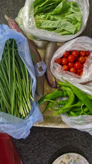 정석구님의 자유주제 · 자유게시판 작성글 사진