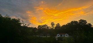 달맛햇복숭아농원님의 자유주제 · 사진전 작성글 사진