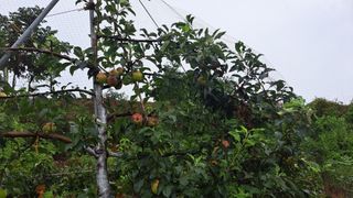 정병묵님의 기타작물 · 자유게시판 작성글 사진