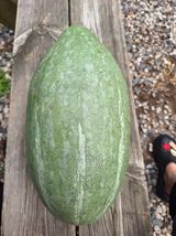 팜모닝 자유주제·자유게시판 게시글 이미지