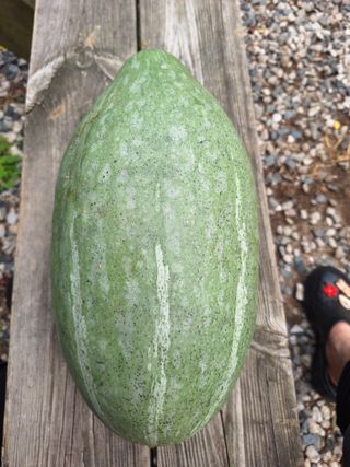 행복한일상님의 자유주제 · 자유게시판 작성글 사진