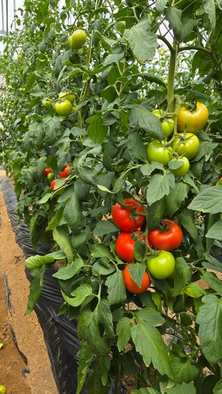 인제 돈키호테님의 작성글 사진