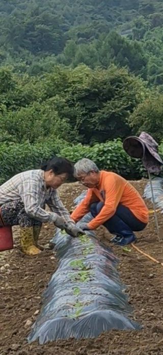 장봉덕님의 자유주제 · 자유게시판 작성글 사진