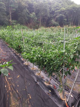 정용준님의 자유주제 · 자유게시판 작성글 사진