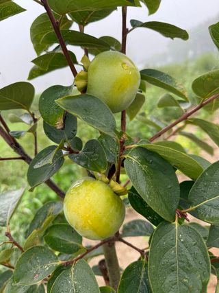 MSG0074님의 자유주제 · 자유게시판 작성글 사진