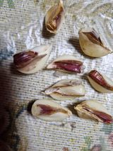 팜모닝 자유주제·자유게시판 게시글 이미지