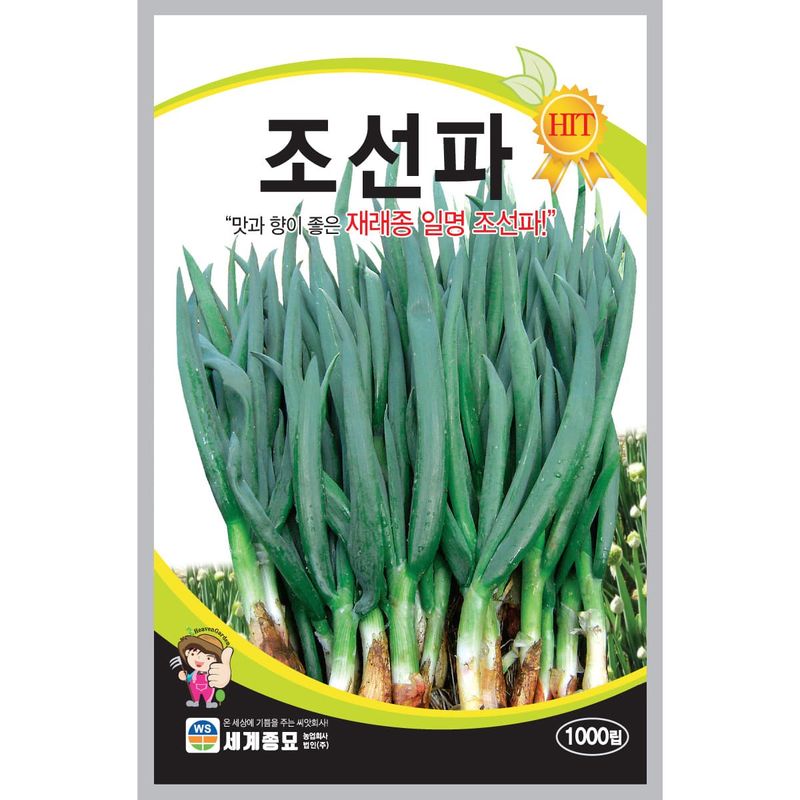 장터 상품 [조선파 씨앗 1000립 재래종 대파 구조파 종자 5봉 구매시+랜덤씨앗 1개 증정] 썸네일