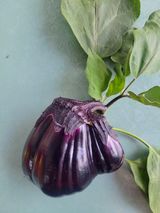 팜모닝 자유주제·자유게시판 게시글 이미지