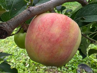 화성농원님의 자유주제 · 자유게시판 작성글 사진