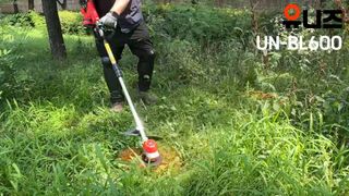 유니즈님의 작성글 사진