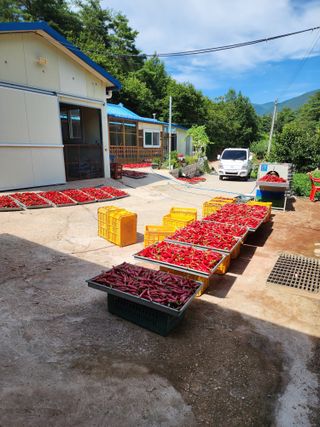 김미숙님의 자유주제 · 자유게시판 작성글 사진