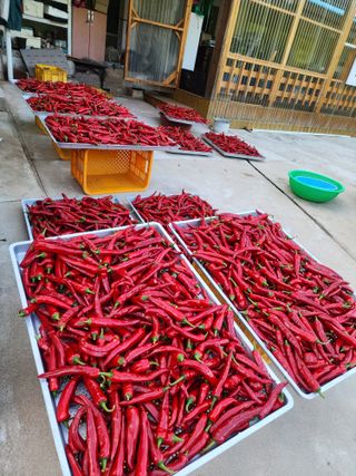 김미숙님의 자유주제 · 자유게시판 작성글 사진