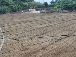 한경훈님의 자유주제 · 사진전 작성글 사진
