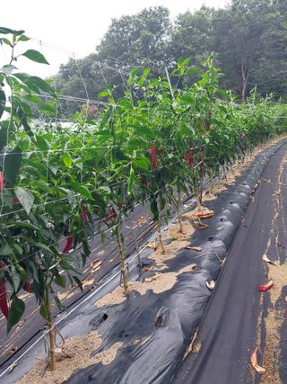 정용준님의 자유주제 · 자유게시판 작성글 사진