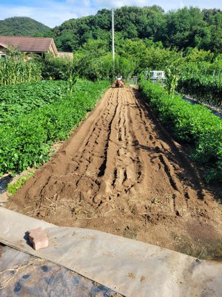 땅땅님의 자유주제 · 자유게시판 작성글 사진