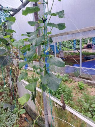 정용준님의 자유주제 · 자유게시판 작성글 사진