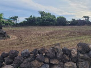 한경훈님의 자유주제 · 사진전 작성글 사진