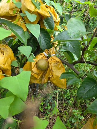 이원복님의 자유주제 · 사진전 작성글 사진