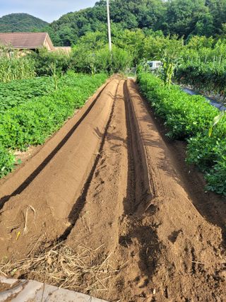 땅땅님의 자유주제 · 자유게시판 작성글 사진