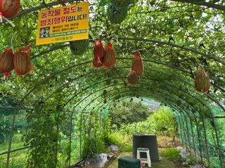 정성동님의 자유주제 · 자유게시판 작성글 사진