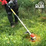 팜모닝 · 게시글 이미지